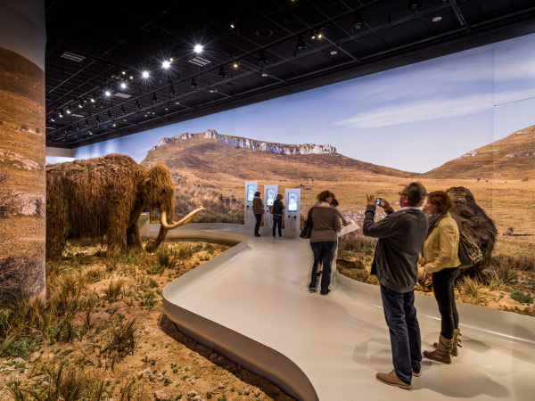 Galerie de l'Aurignacien à la grotte Chauvet 2 - Photo du décor par Arnaud Frich